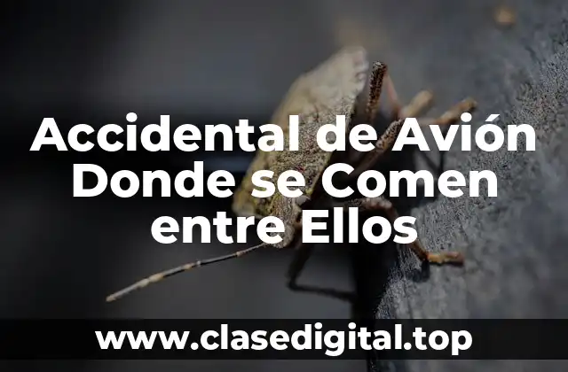Accidental de Avión Donde se Comen entre Ellos
