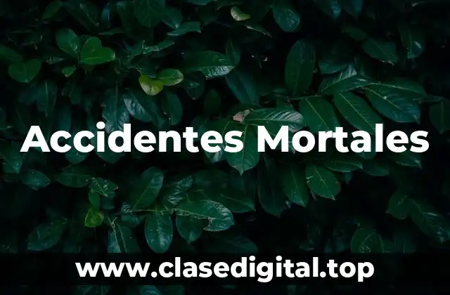 Accidentes Mortales