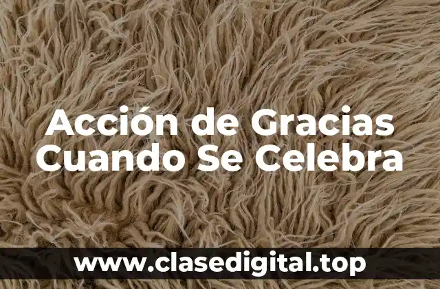 ¿Cuál es el Origen de la Acción de Gracias?