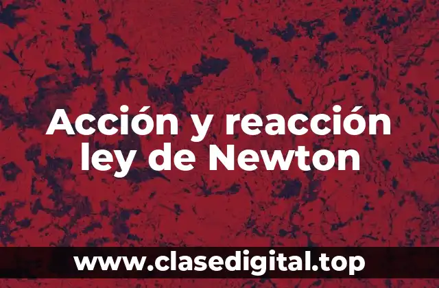 Acción y reacción ley de Newton