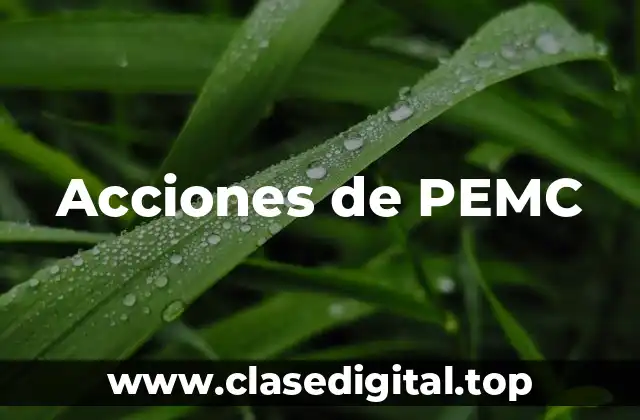 Acciones de PEMC