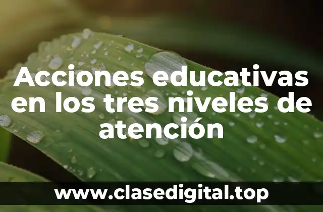 Acciones educativas en los tres niveles de atención