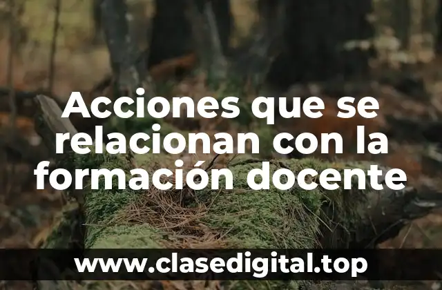 Acciones que se relacionan con la formación docente