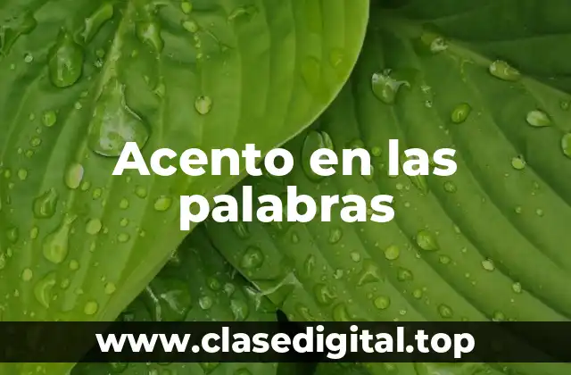 Acento en las palabras