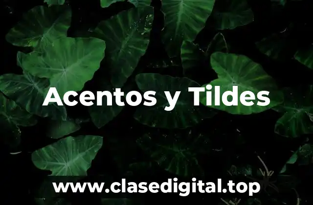 Ejemplos de acentos y tildes