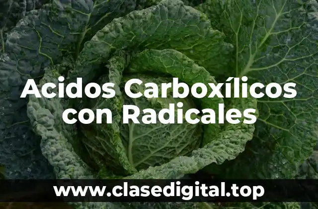 Acidos Carboxílicos con Radicales