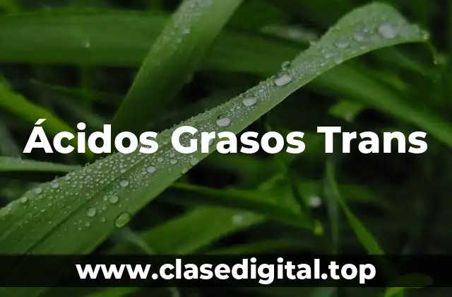 Ácidos Grasos Trans