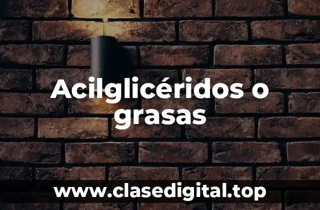 Acilglicéridos o grasas