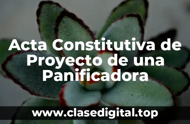 Ejemplos de Actas Constitutivas de Proyecto de una Panificadora