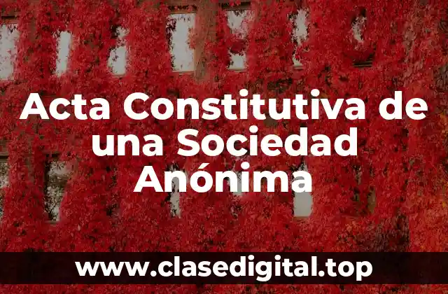 Acta Constitutiva de una Sociedad Anónima