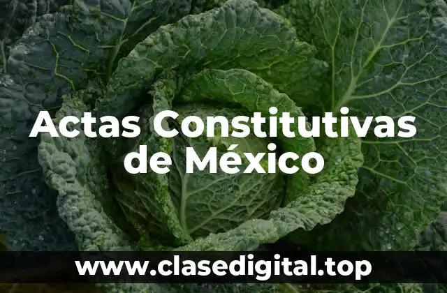 Actas Constitutivas de México