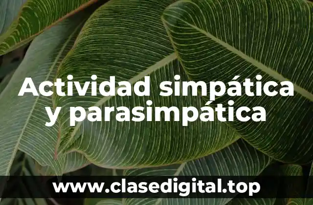 Ejemplos de actividad simpática y parasimpática