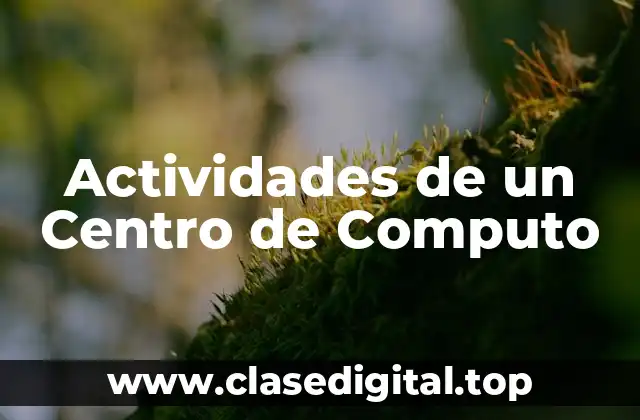 Actividades de un Centro de Computo