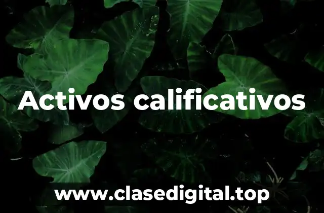 Activos calificativos