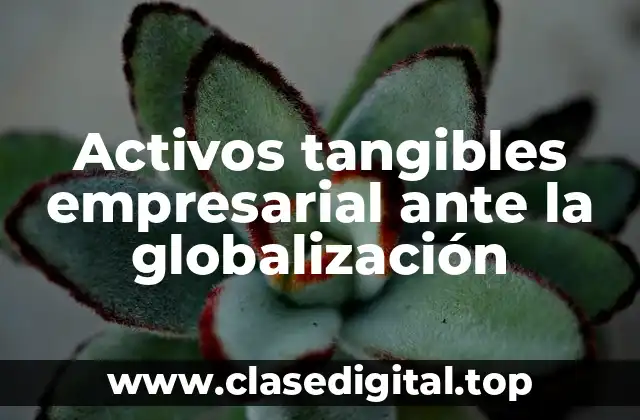 Activos tangibles empresarial ante la globalización
