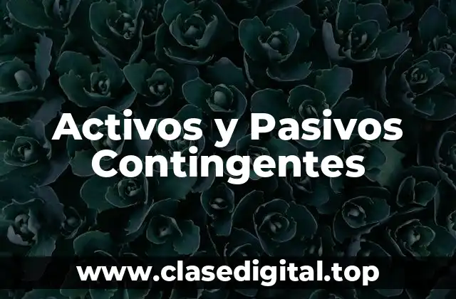 Activos y Pasivos Contingentes