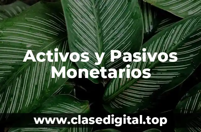 Activos y Pasivos Monetarios
