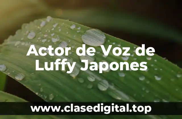 Actor de Voz de Luffy Japones
