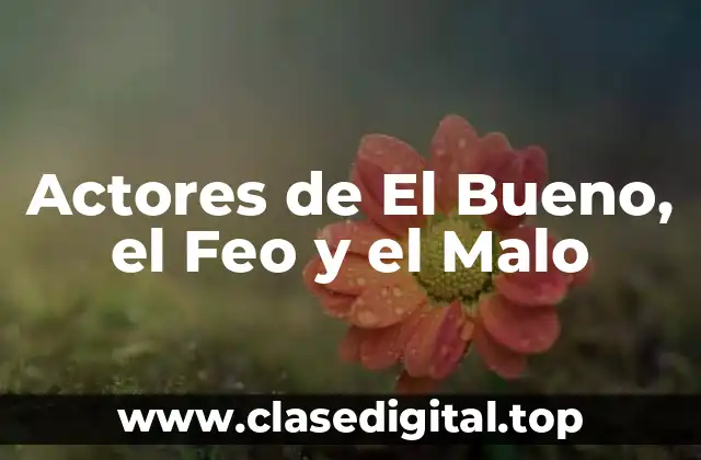 Clint Eastwood: El Bueno