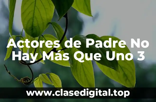 Actores de Padre No Hay Más Que Uno 3
