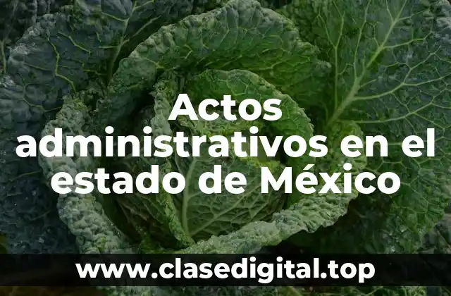 Actos administrativos en el estado de México