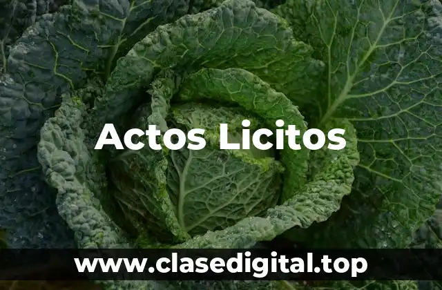 Actos Licitos
