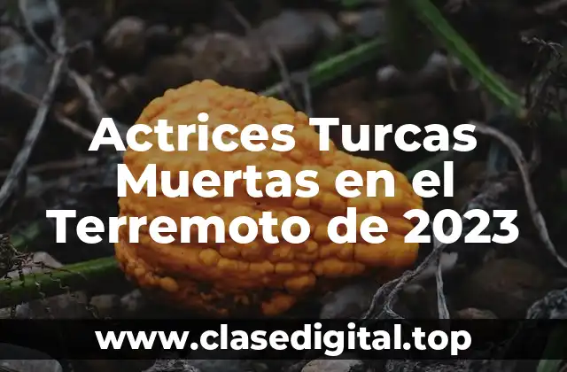 Actrices Turcas Muertas en el Terremoto de 2023