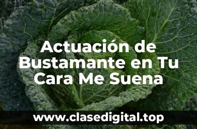 Actuación de Bustamante en Tu Cara Me Suena