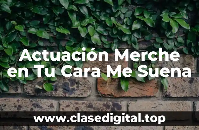 Actuación Merche en Tu Cara Me Suena