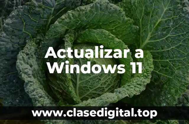 Actualizar a Windows 11