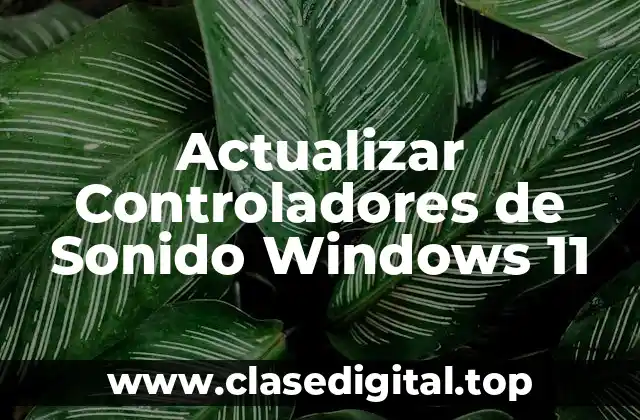 Actualizar Controladores de Sonido Windows 11