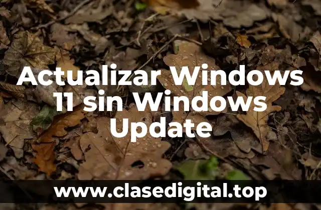 Actualizar Windows 11 sin Windows Update
