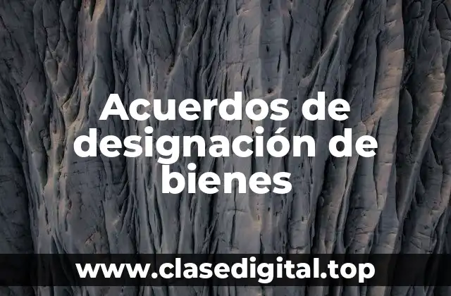 Ejemplos de acuerdos de designación de bienes