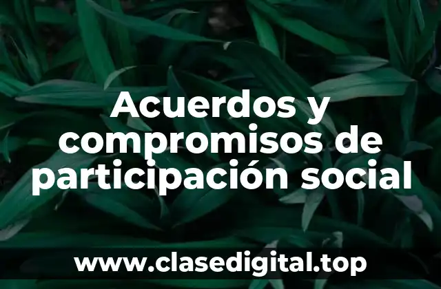 Acuerdos y compromisos de participación social