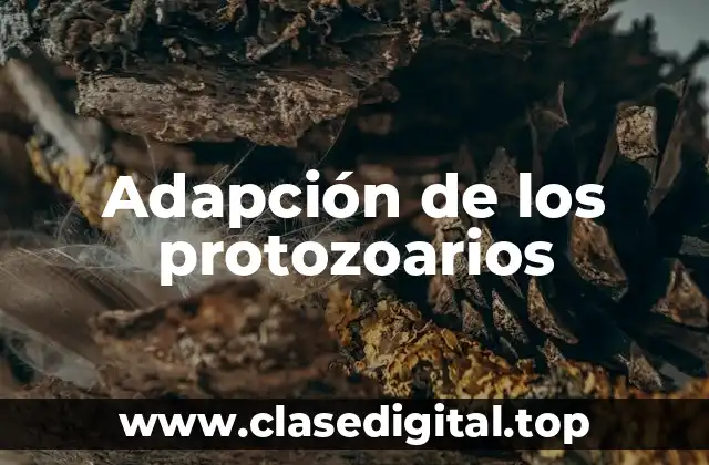 Adapción de los protozoarios