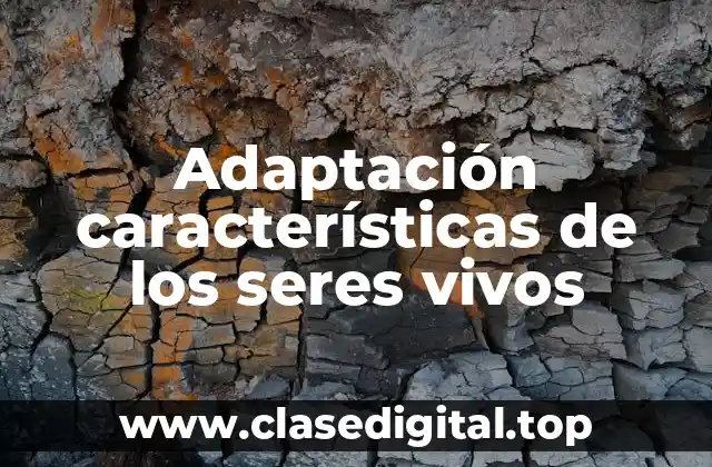 Ejemplos de adaptación