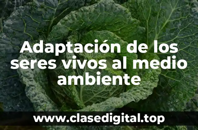Adaptación de los seres vivos al medio ambiente