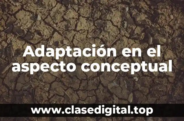 Adaptación en el aspecto conceptual