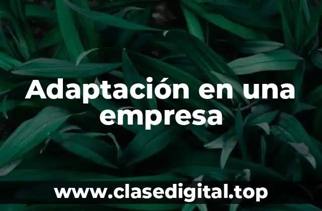 Adaptación en una empresa