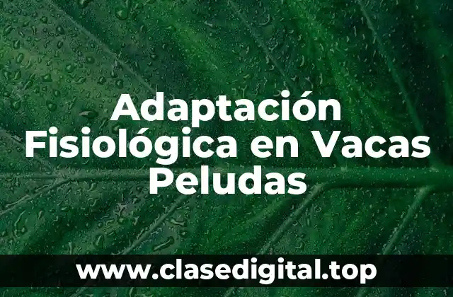 Adaptación Fisiológica en Vacas Peludas