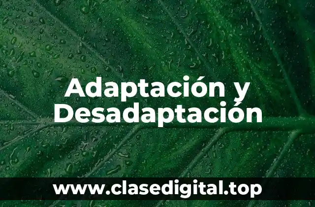 Ejemplos de adaptación