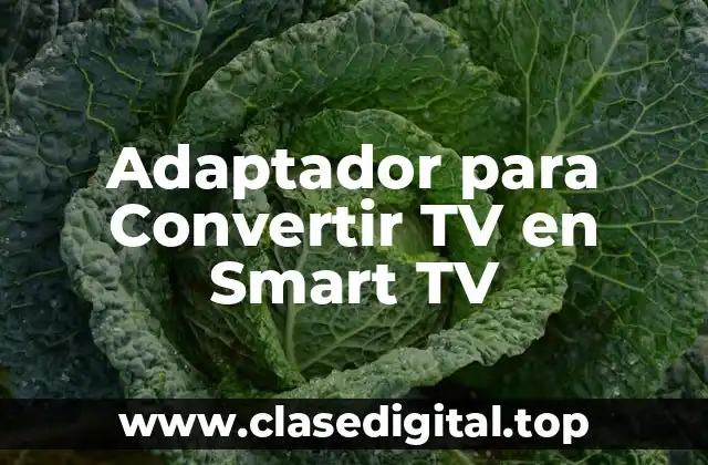 Adaptador para Convertir TV en Smart TV