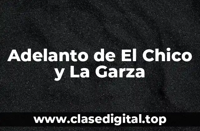 ¿Qué es El Chico y La Garza?