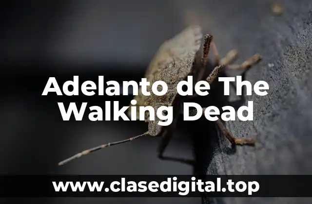 ¿Quién es Daryl Dixon en The Walking Dead?