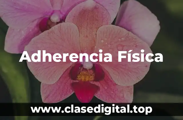 Adherencia Física