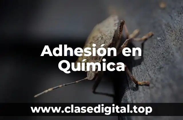 Adhesión en Química