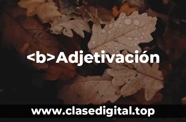 Ejemplos de Adjetivación