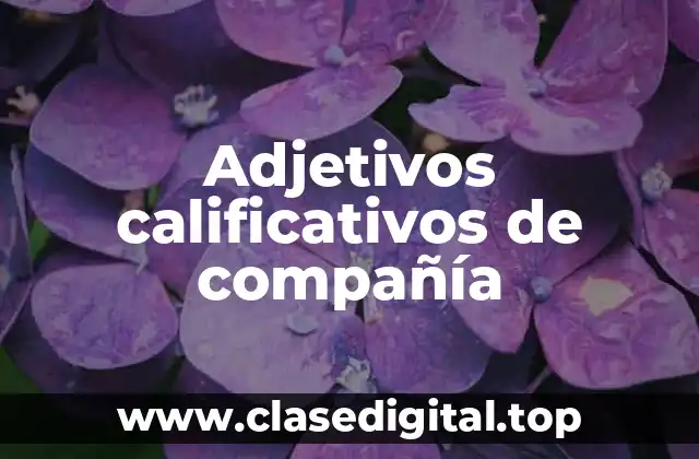 Adjetivos calificativos de compañía