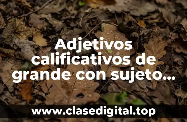 Adjetivos calificativos de grande con sujeto predicado