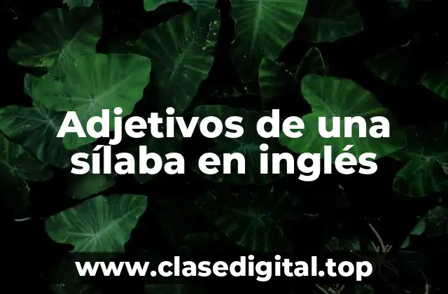 Ejemplos de adjetivos de una sílaba en inglés